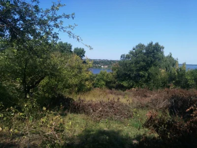 Земельна ділянка з будинком у Ржищеві з площею 46 соток