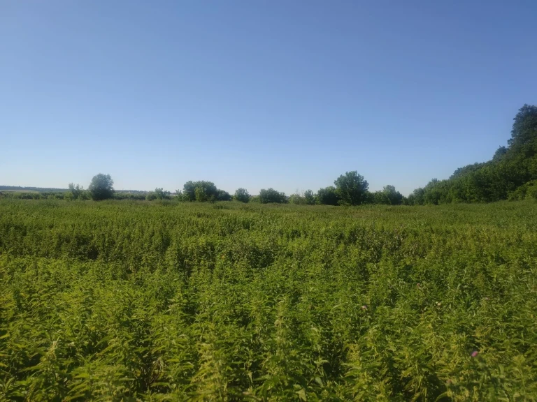 ПРОДАЮ 8 СОТОК с. Білогородка, Бучанський район, Київська об