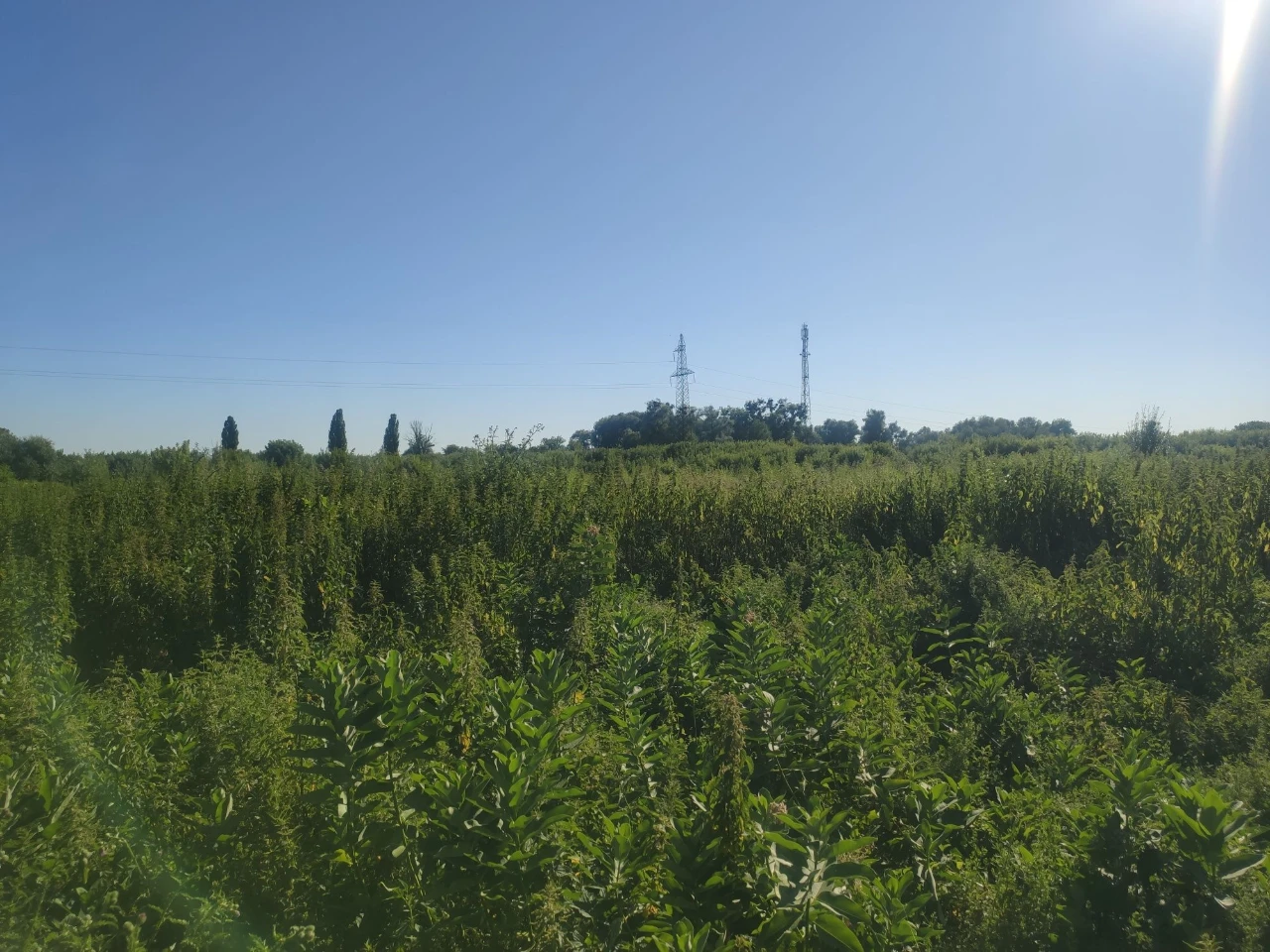 ПРОДАЮ 8 СОТОК с. Білогородка, Бучанський район, Київська об