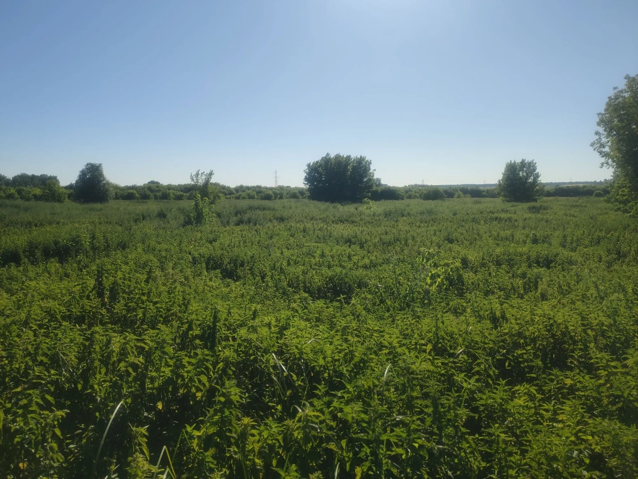 ПРОДАЮ 8 СОТОК с. Білогородка, Бучанський район, Київська об