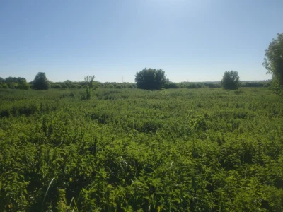 ПРОДАЮ 8 СОТОК с. Білогородка, Бучанський район, Київська об