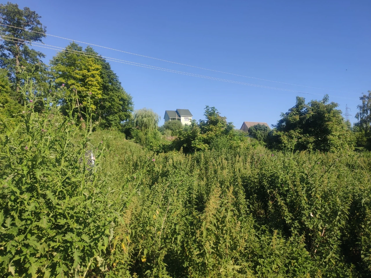 ПРОДАЮ 8 СОТОК с. Білогородка, Бучанський район, Київська об