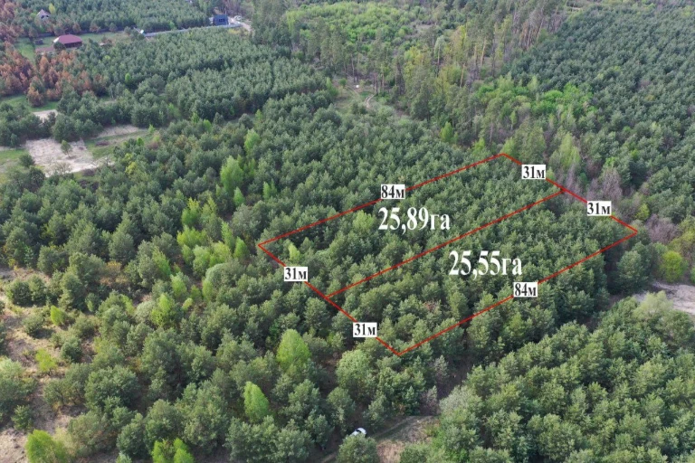 Жорнівка Продам 51 сотку ОСГ