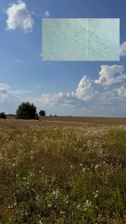 Продаж земельної ділянки Осг 92 сотки,  Боярка