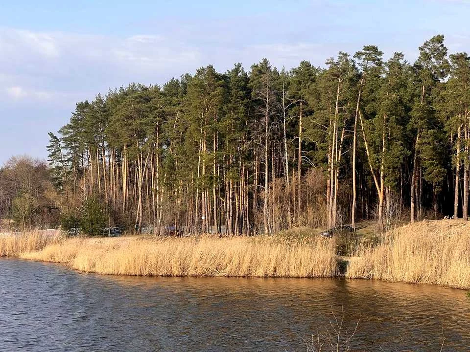 Ділянка. Українка