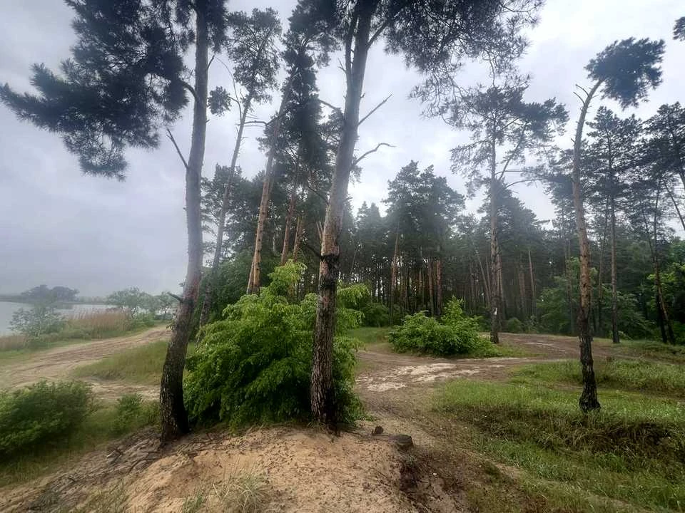 Ділянка. Українка