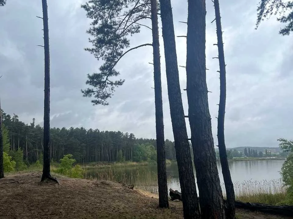 Ділянка. Українка