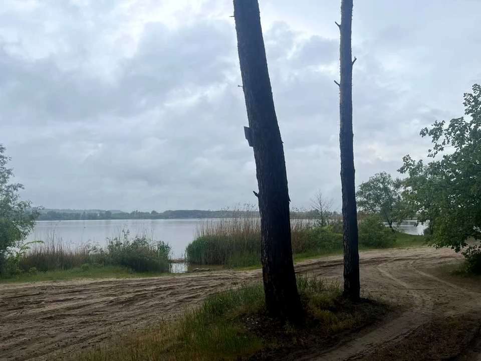 Ділянка. Українка