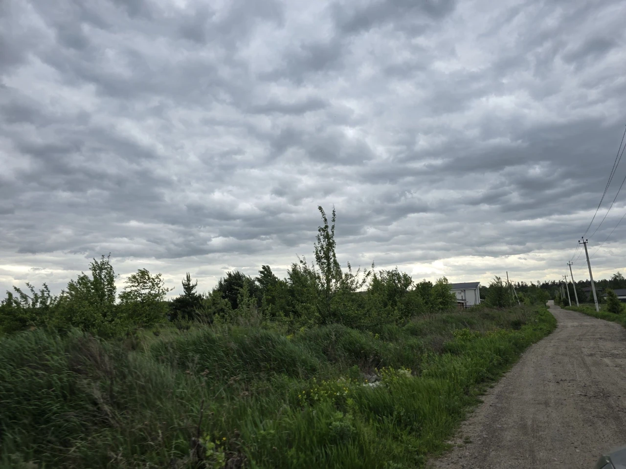 Земельна ділянка 1.5 га м. Боярка поруч Бобриця Білогородка