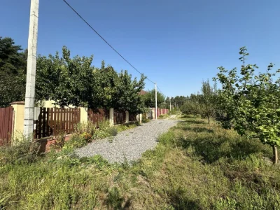 Забирье продам 8 соток с электричеством 10 KWT , лес рядом