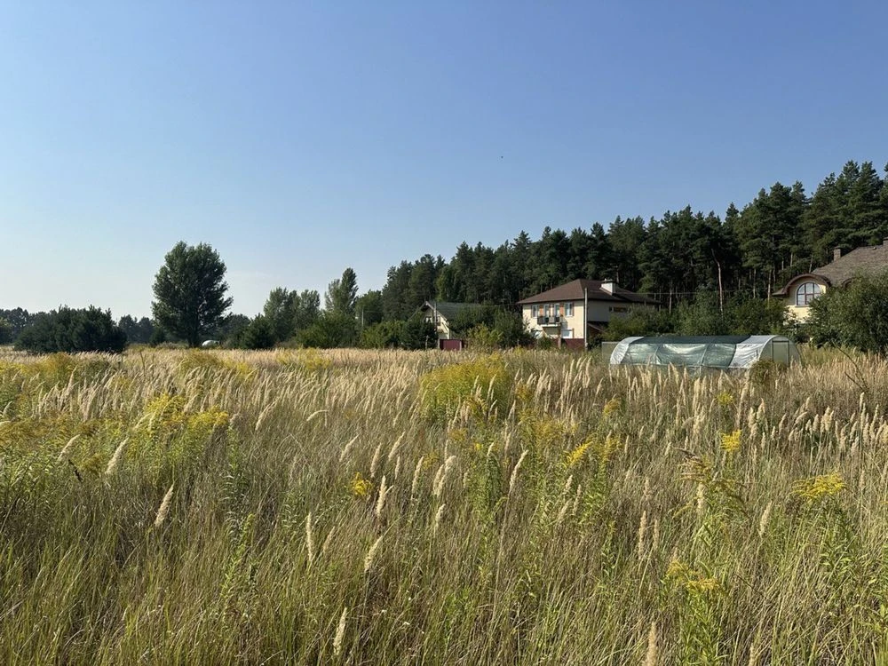 Забирье продам 8 соток с электричеством 10 KWT , лес рядом