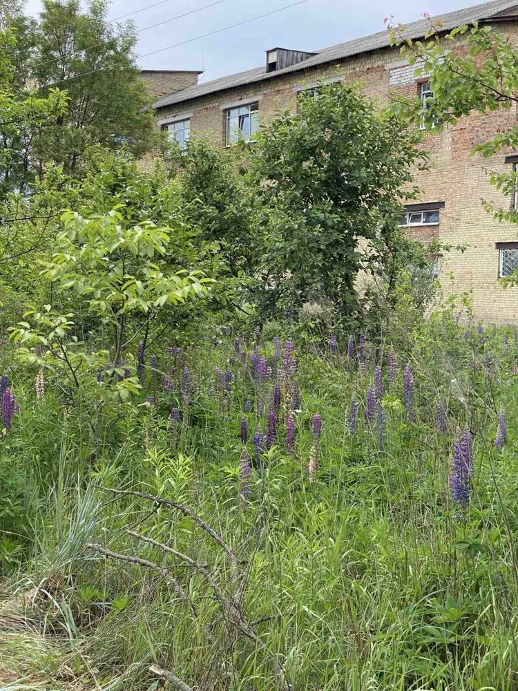 Продаж ділянки 0.19 га Боярка під  різноманітний бізнес Біля