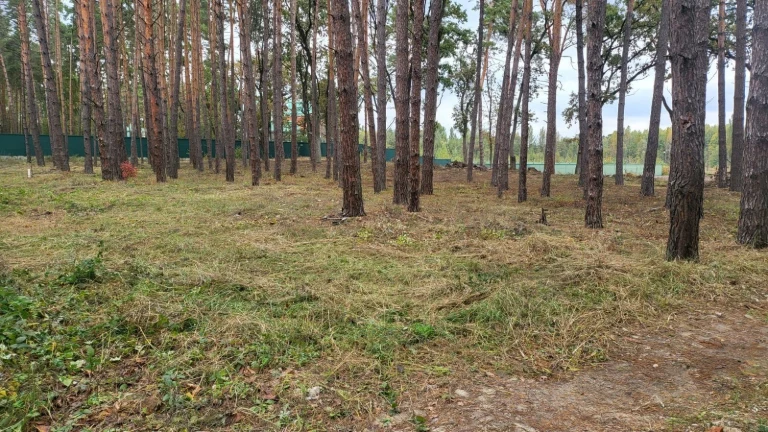Продам земельну ділянку