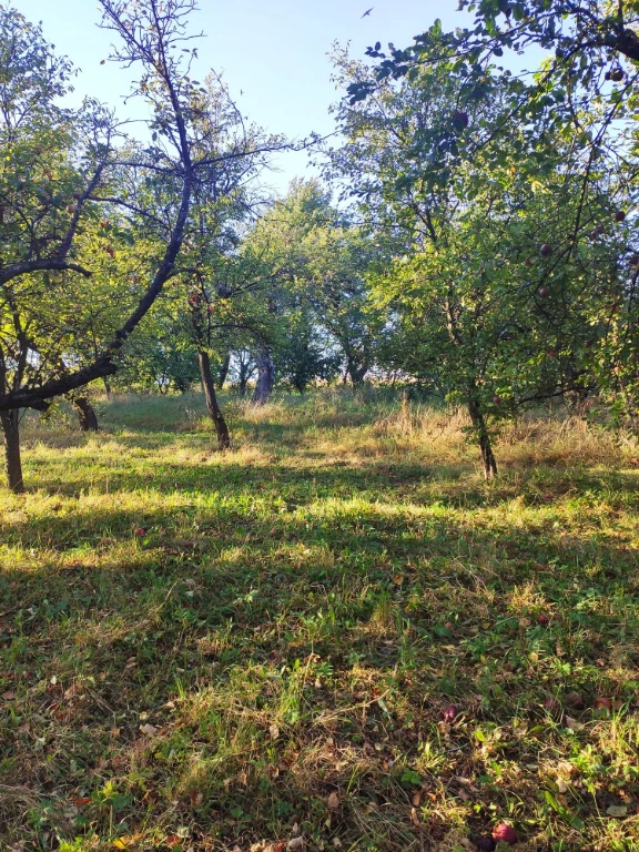 Земельна ділянка Комарно 19,5 соток