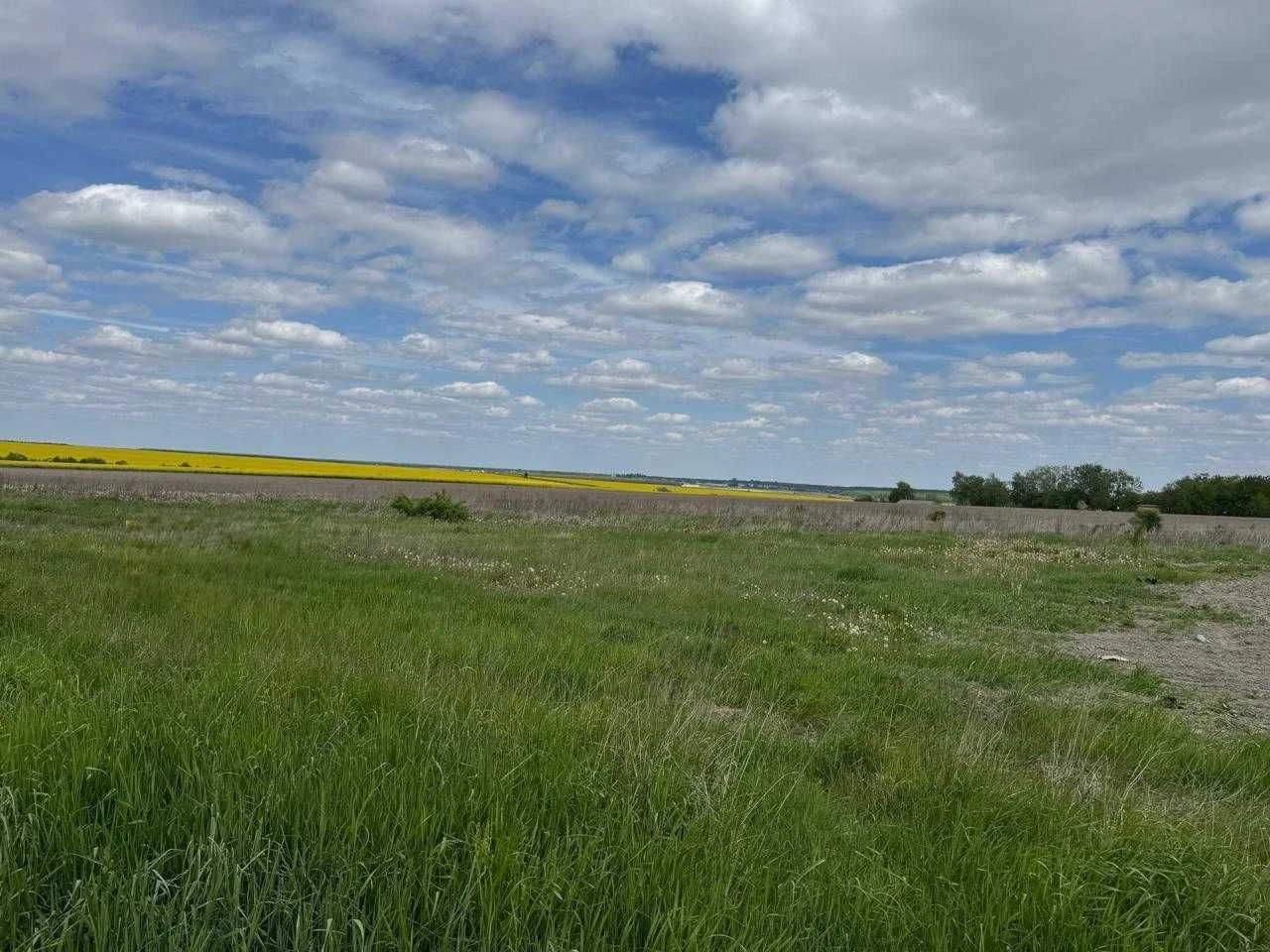 Продаж земельної ділянки під АЗС /комерцію