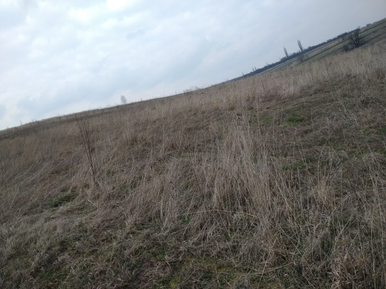 Продається земельна ділянка