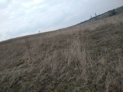 Продається земельна ділянка