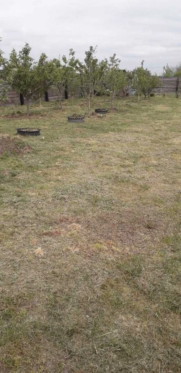 Продаж земельної ділянки у Великих Мостах