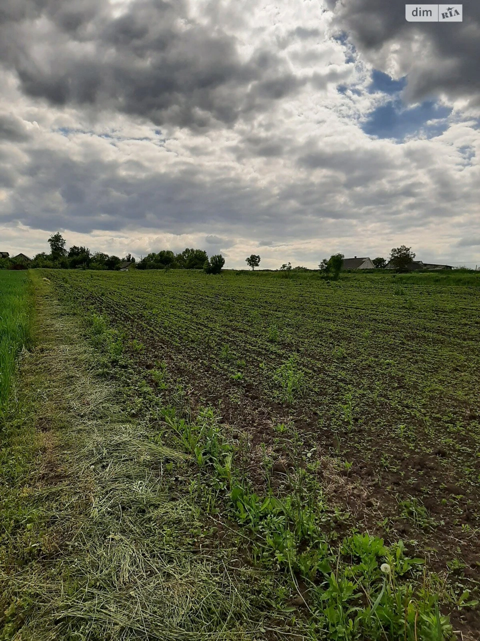 Продаж Земля сільськогосподарського призначення