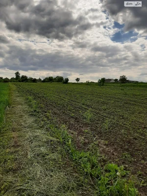 Продаж Земля сільськогосподарського призначення