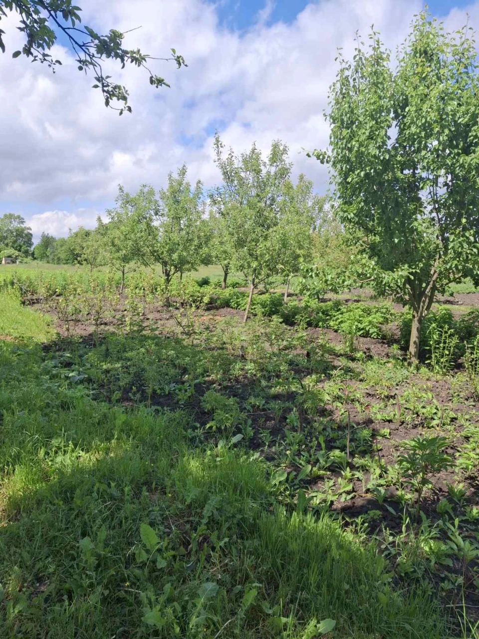 Продається земельна ділянка під забудову в м. Почаїв