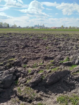Земельна ділянка можлива під забудову (8сотих)