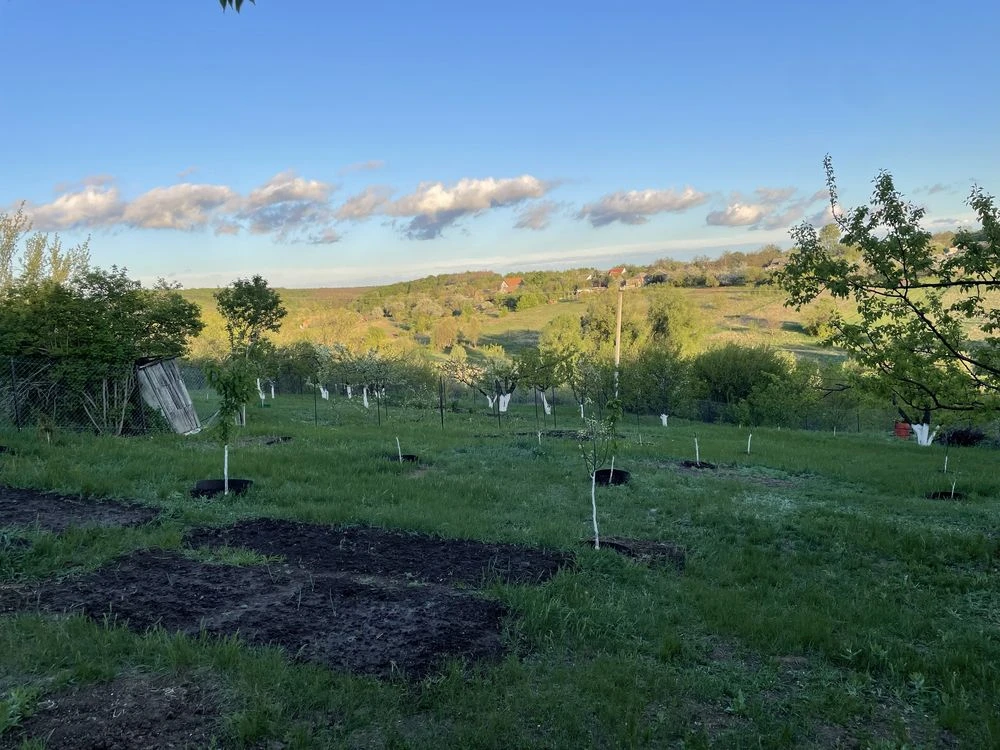 Продам дачну діляночку 18 соток під Мерефой