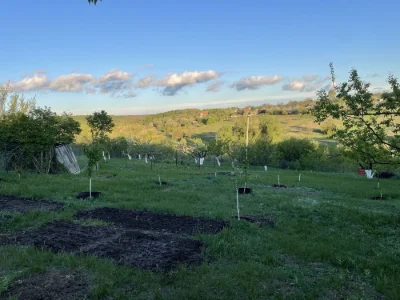 Продам дачну діляночку 18 соток під Мерефой