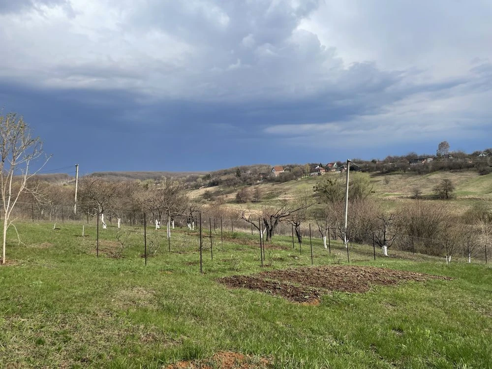 Продам дачну діляночку 18 соток під Мерефой