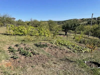 Продам дачну діляночку 18 соток під Мерефой