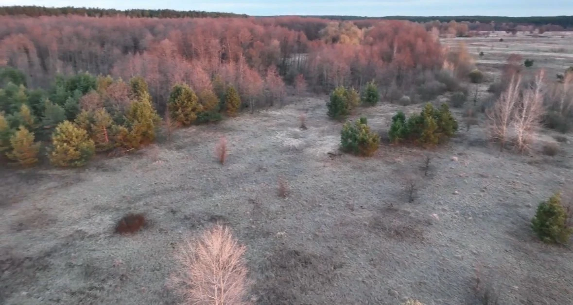 Ділянка 4га, перша лінія річки Десни