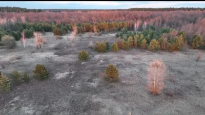 Ділянка 4га, перша лінія річки Десни