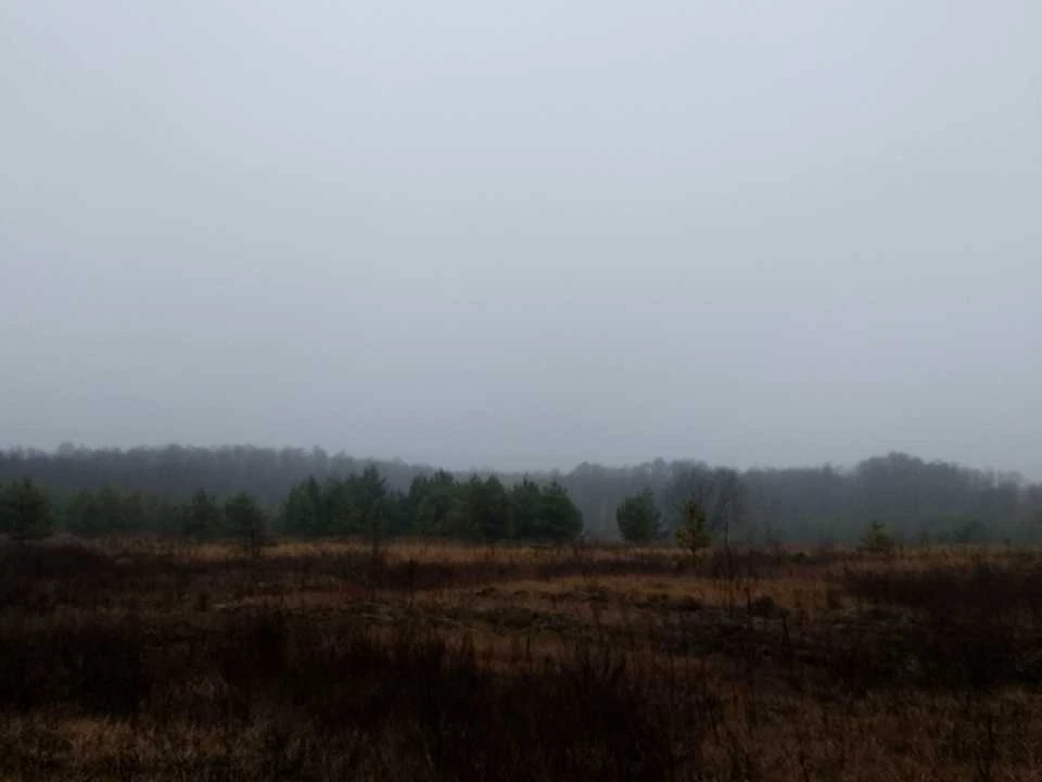 Ділянка. Остер
