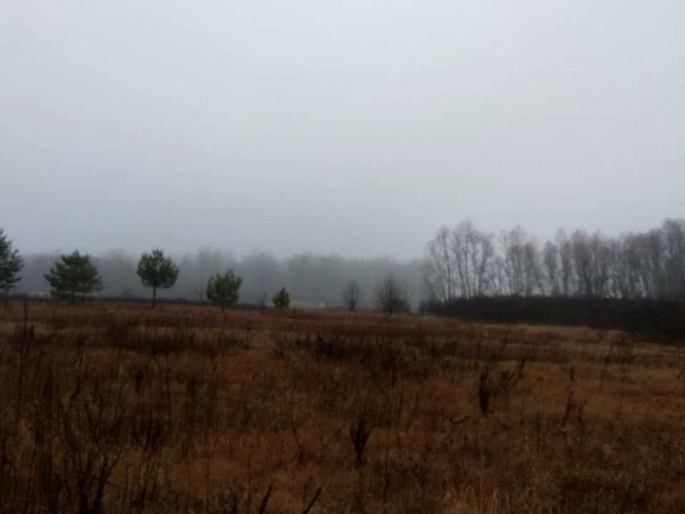 Ділянка. Остер