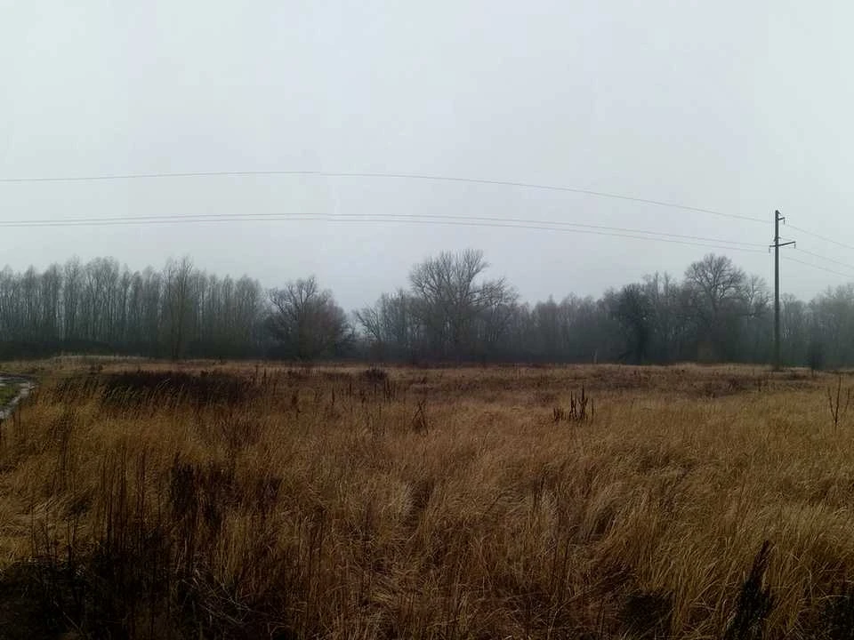 Ділянка. Остер