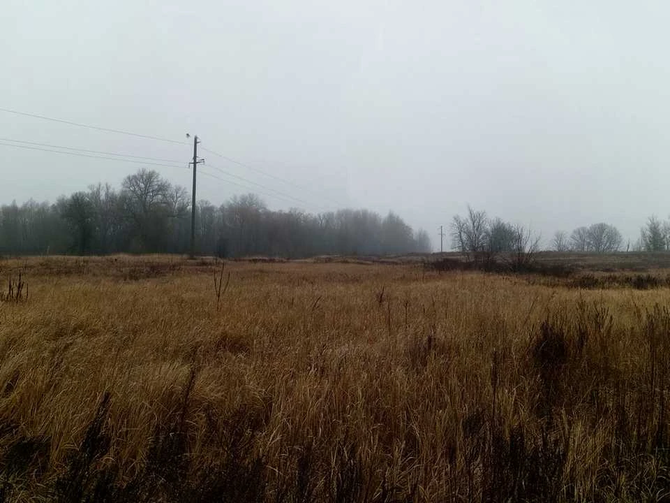 Ділянка. Остер