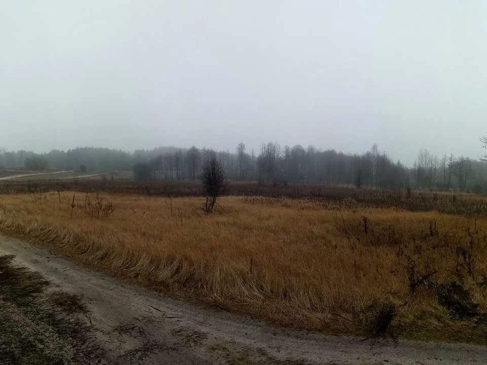 Ділянка. Остер