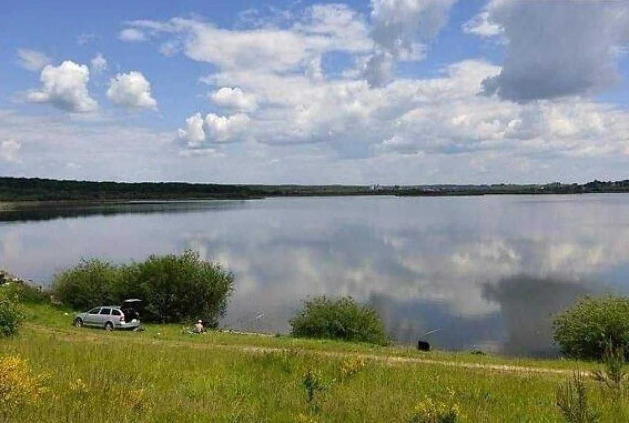 Продаж/Земля/Будівництво/Новояворівськ, Яворів, с.Терновиця/