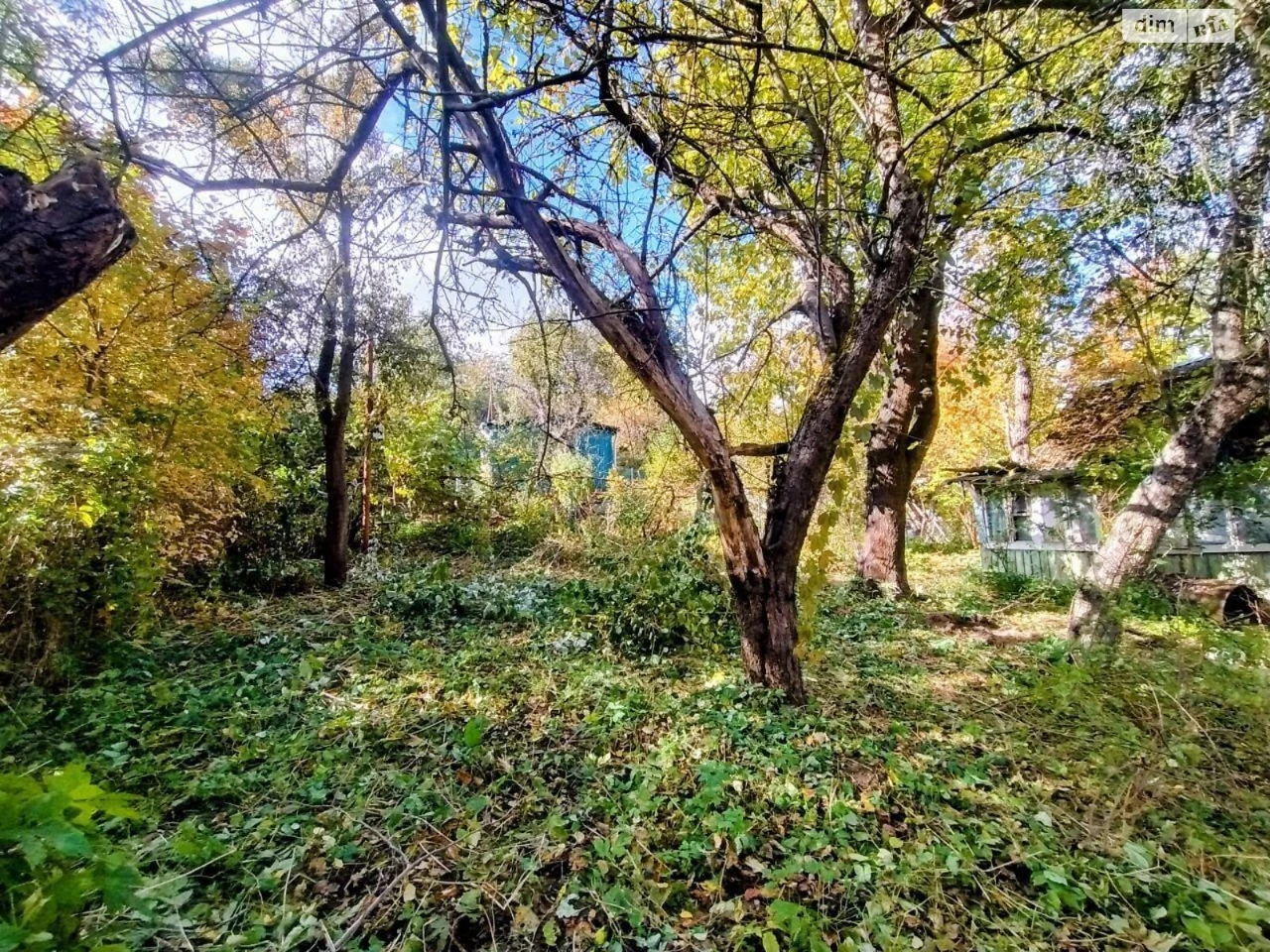 Продаж Земля сільськогосподарського призначення