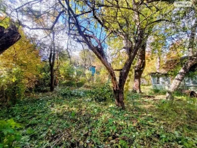 Продаж Земля сільськогосподарського призначення