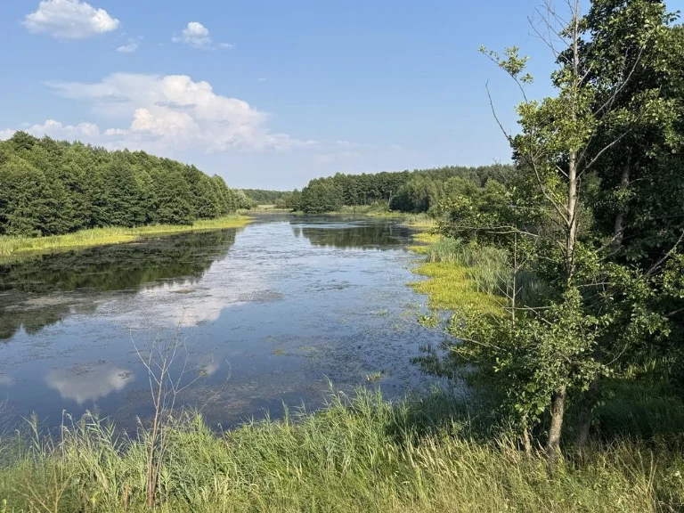 Земельна ділянка