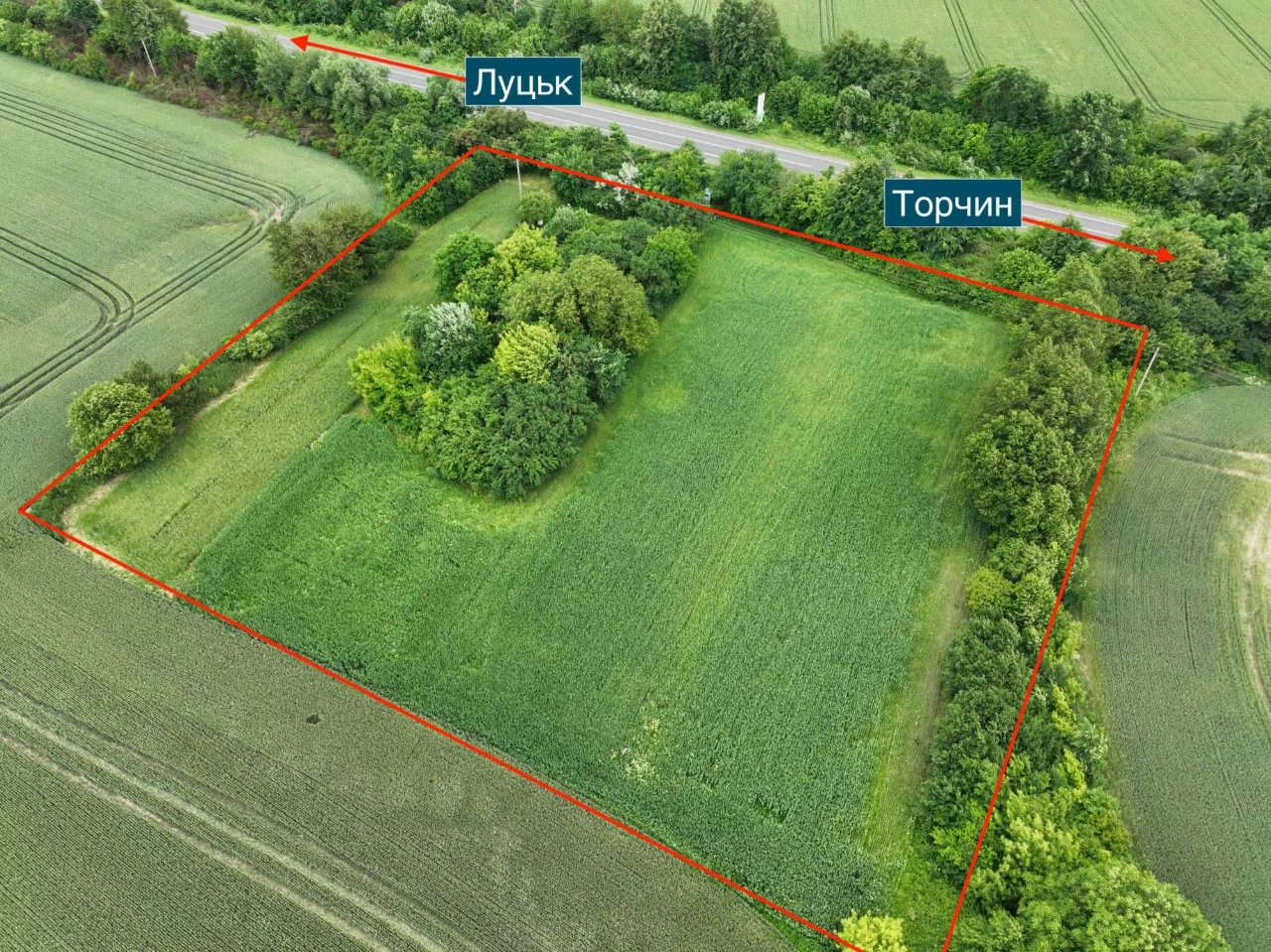 Фасадна ділянка за Заборолем 70сот, світло на ділянці!