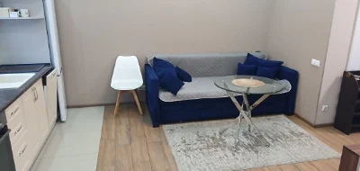 метро Васильківська-ВДНГ- Іподром 1 кімнатна квартира Голосі