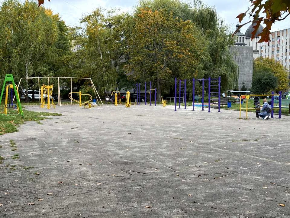 Квартира. Львів, Володимира Великого вул.