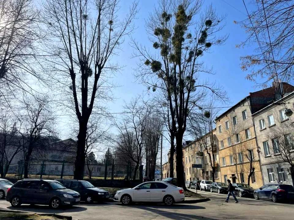 Квартира. Львів, Скісна вул.