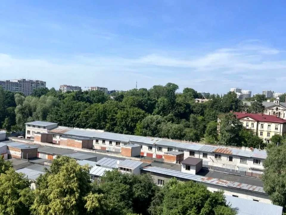 Квартира. Львів, Леоніда Перфецького вул.