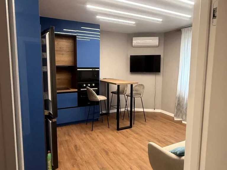 Apartment. Kharkiv, Professorskaya St.