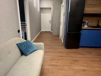Apartment. Kharkiv, Professorskaya St.
