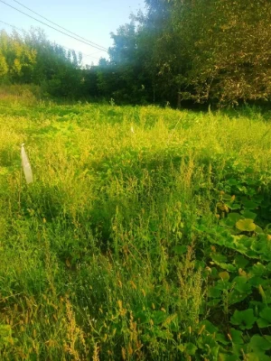Земельна ділянка під забудову м.Звягель