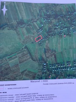 Продається старий будинок з городом 43сотих с. Копанки